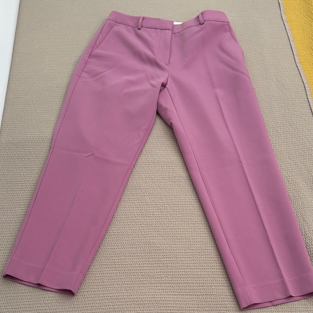 Ann Taylor The Eva Ankle Pant (Petite)